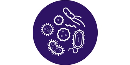 Bevorder het genezingsproces van de patiënt met antimicrobiële activiteit
