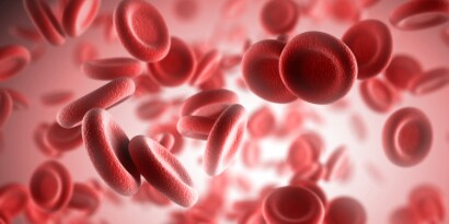 Blood cells
