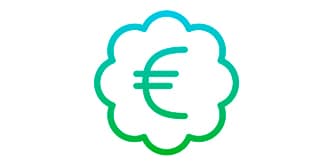 Euro icon
