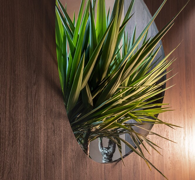 3M DINOC-wand met donkere houtafwerking en groen dat door het raam komt.