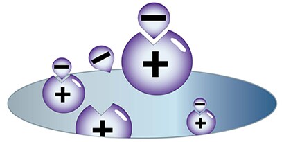 endotoxineverwijdering
