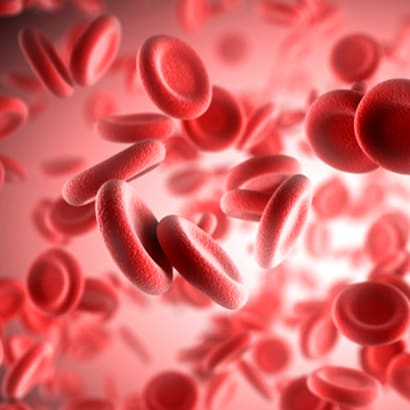 Blood cells