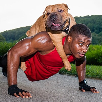 Afbeelding van een man die push-ups doet met een grote hond op zijn rug
