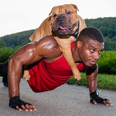 Afbeelding van een man die push-ups doet met een grote hond op zijn rug
