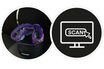 Polyether en de CAD/CAM workflow.

