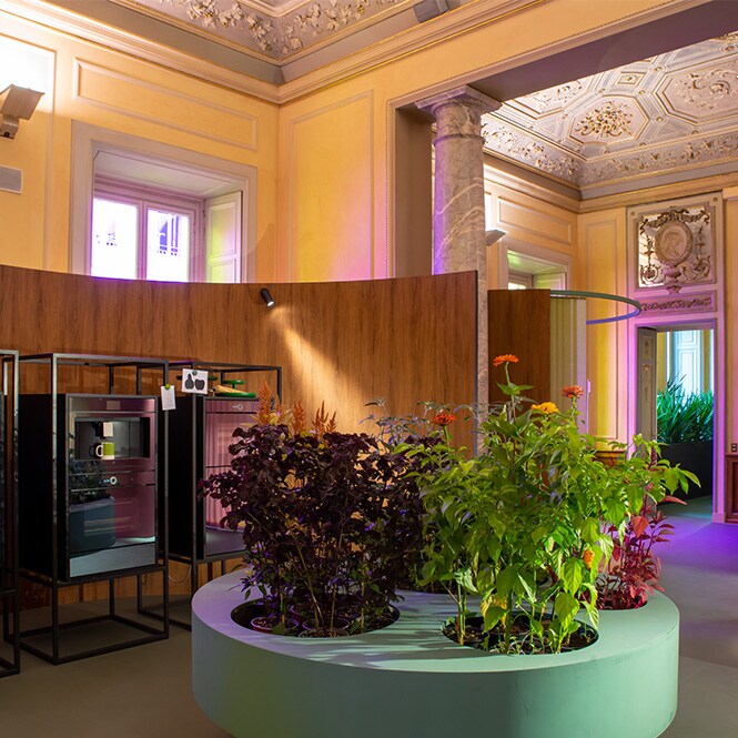 Conceptueel interieur met moderne meubels, gekleurde verlichting, plantenbakken met bloemen en oppervlakken bedekt met effen gekleurde en DINOC-folies.